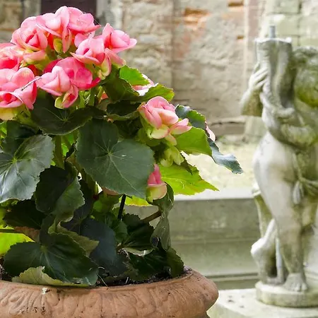 Residenza D'epoca Il Cassero * 卢奇尼亚诺
